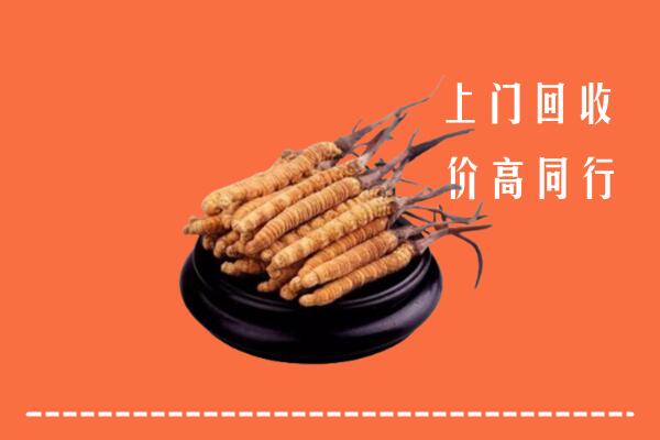 高价求购：武冈市回收散虫草