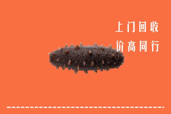 高价求购：武冈市回收海参