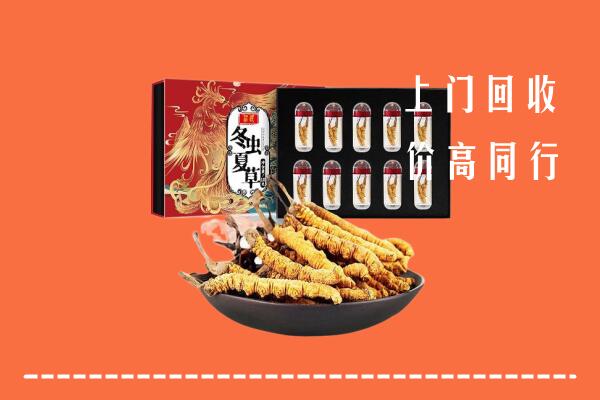 收购行情：武冈市回收虫草